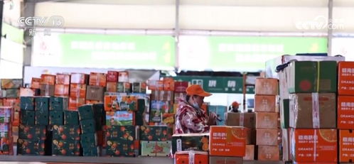 透過數據看 暖意 多措并舉促經濟 惠民生 暖民心